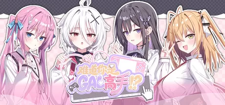 难道你是GAL高手|Could You Be a Gal Master?|Build.24775635|官方简体中文|容量9.8GB - 入巷拾玖