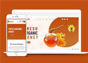 农家蜂蜜网上销售HTML5模板下载 - 入巷拾玖