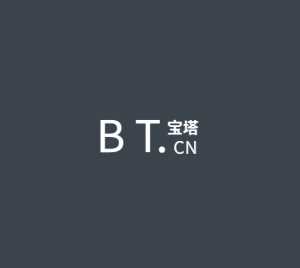 BT面板静态文件镜像库v7.1.1 - 入巷拾玖