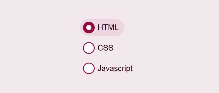css3美化单选按钮点击选中动画特效 - 入巷拾玖