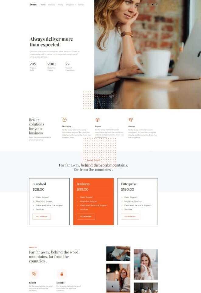 Bootstrap商务咨询服务公司网站HTML模板 - 入巷拾玖