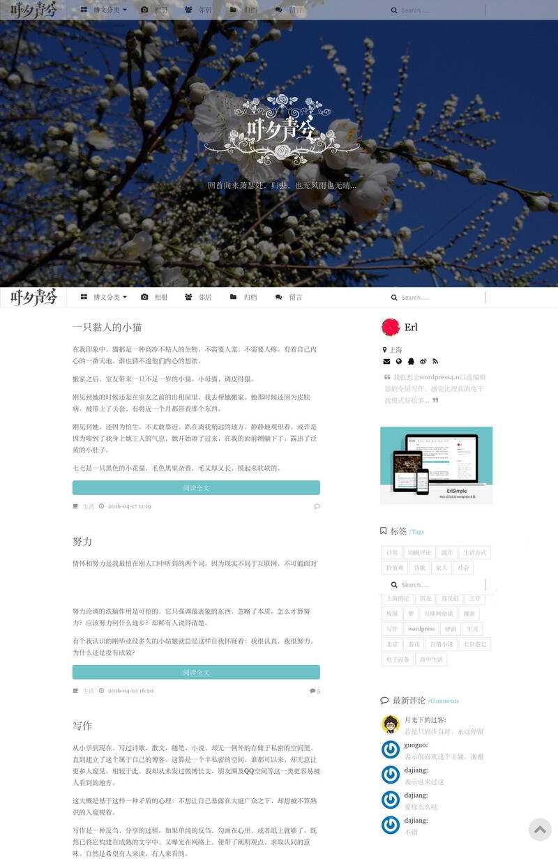 wordpress极简优秀的博客主题–ErlSimpleV1.5主题 - 入巷拾玖