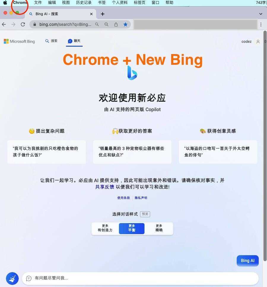 微软New Bing完美聊天机器人源码，支持ChatGPT提示词 国内可用，基本兼容微软 Bing AI 所有功能 - 入巷拾玖