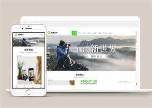 宽屏广告品牌设计类网站模板源码 - 入巷拾玖