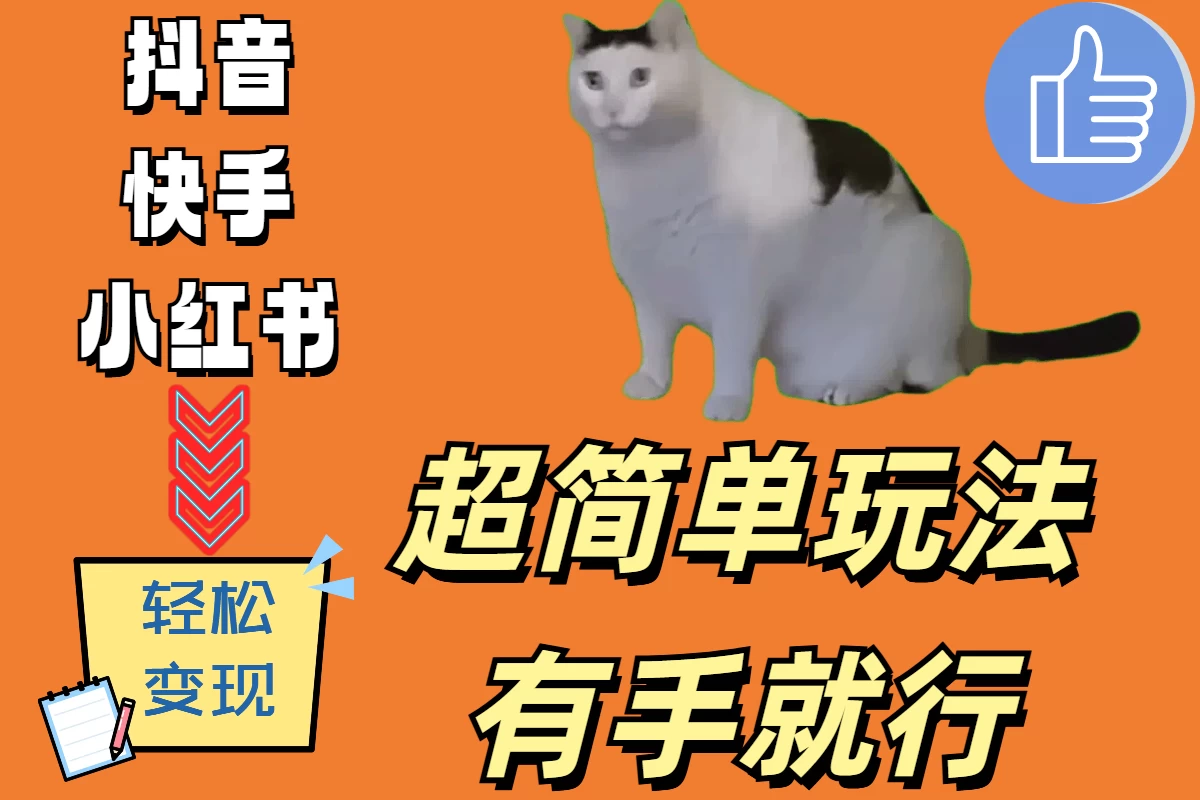 超简单玩法，有手就行，靠猫咪视频日入500+ - 入巷拾玖