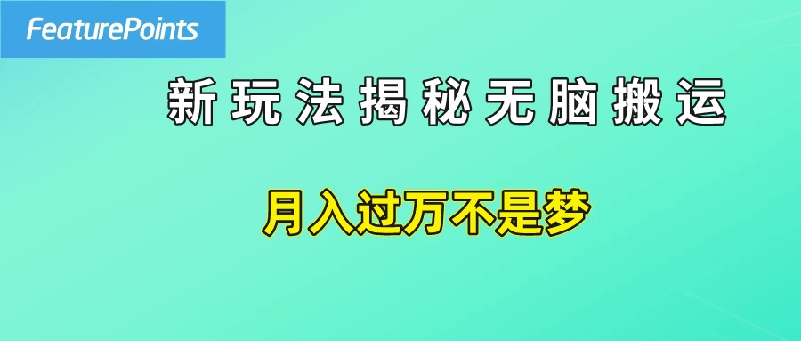 简单操作，每天50美元收入，搬运就是赚钱的秘诀！ - 入巷拾玖
