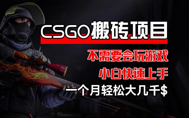 CSGO 装备搬砖项目，操作简单，不需要会玩游戏，小白也能快速上手，一个月轻松大几千 - 入巷拾玖