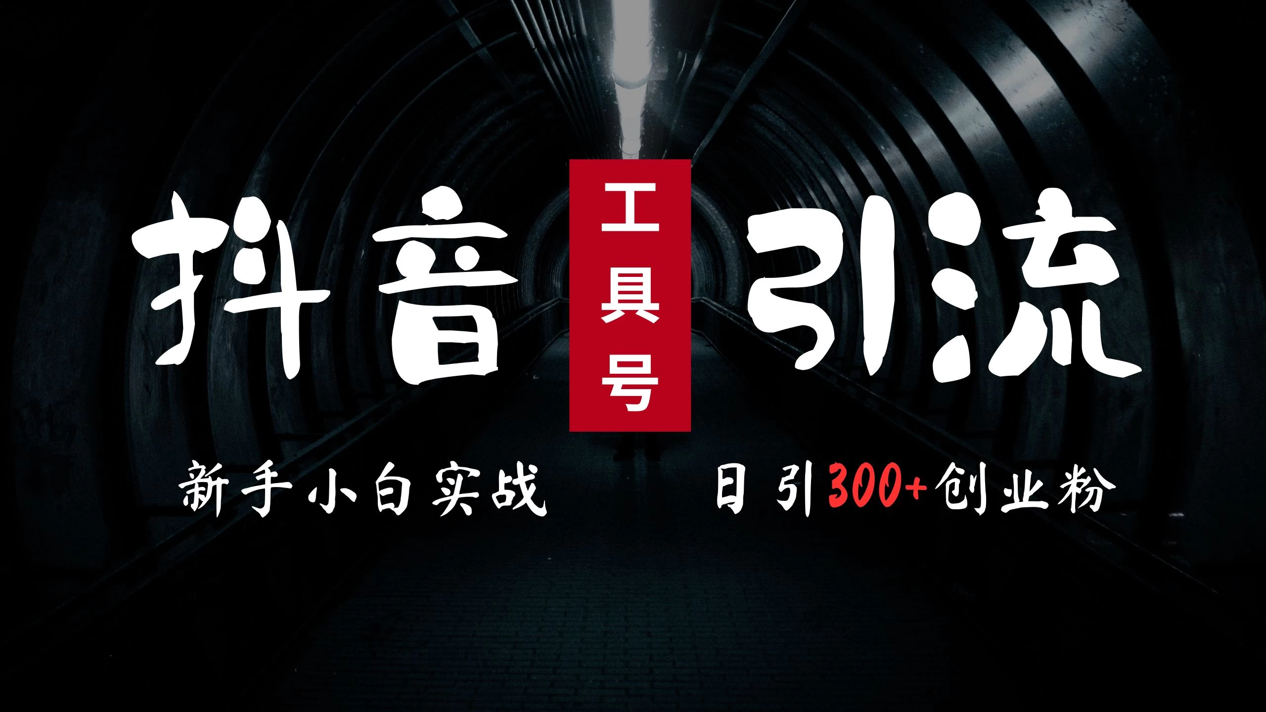 2024最新抖音工具号引流玩法，高效日引300+创业粉，当天变现5000+，小白也可成为实战高手 - 入巷拾玖