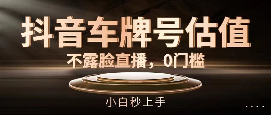 抖音车牌号估值，不露脸直播，0门槛，小白秒上手 - 入巷拾玖