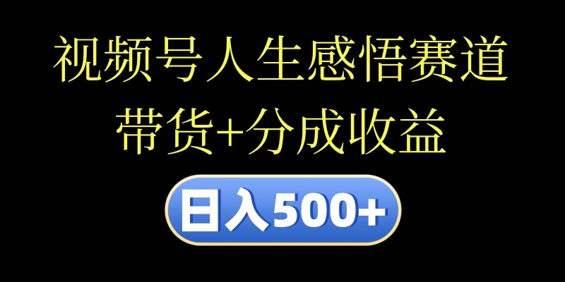 视频号人生感悟赛道，带货+分成收益，日入500+，10分钟做一个视频 - 入巷拾玖