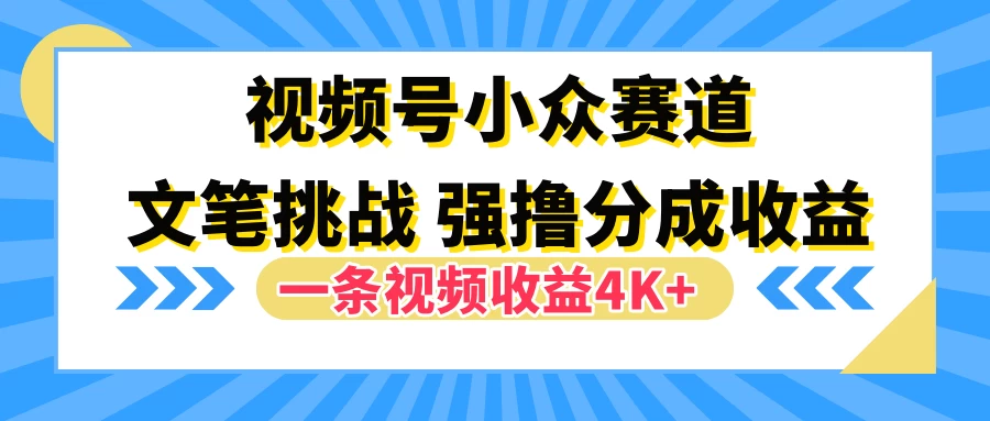 视频号小众赛道，文笔挑战，一条视频收益4K+ - 入巷拾玖