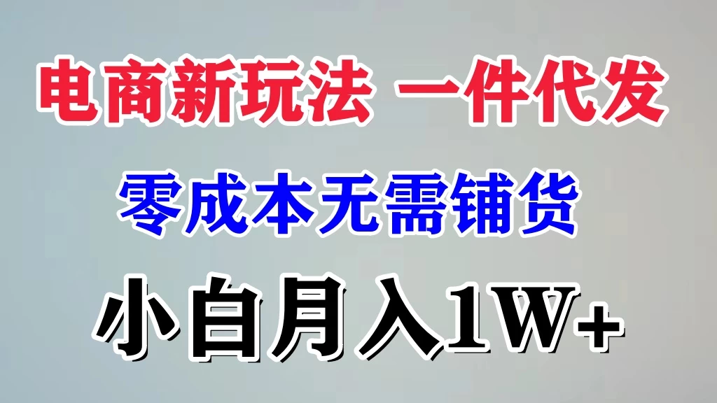 电商新玩法，一件代发，零成本无需铺货，小白月入1W+ - 入巷拾玖