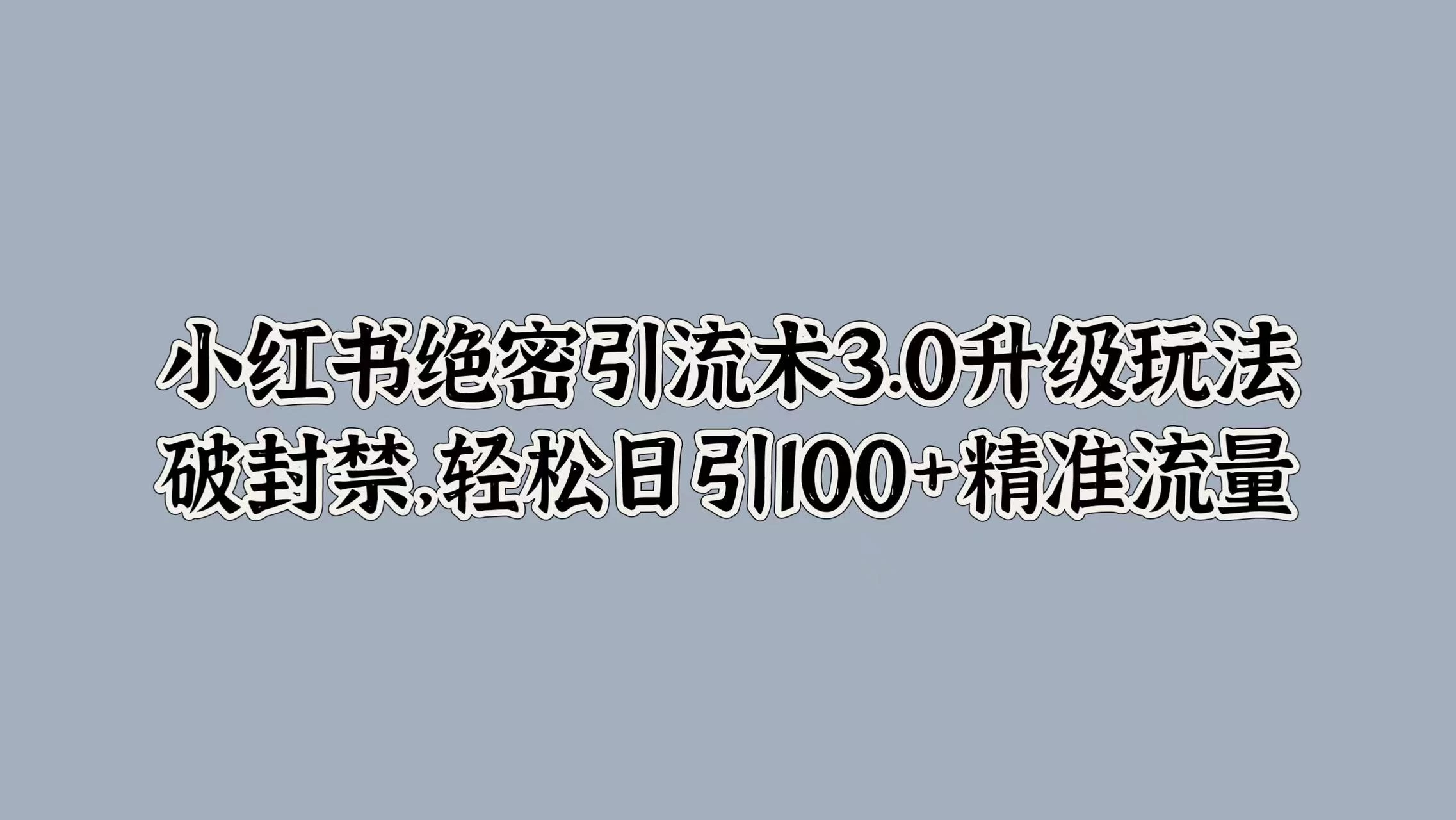 小红书绝密引流术3.0升级玩法，破封禁，轻松日引100+精准流量 - 入巷拾玖