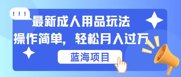 最新成人用品项目玩法，操作简单，蓝海项目轻松月入过万 - 入巷拾玖