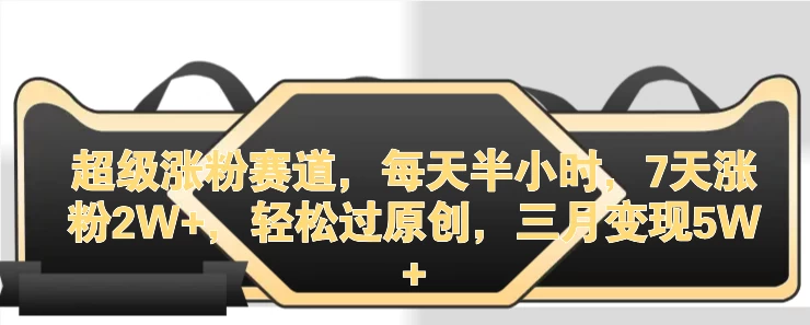 超级涨粉赛道，每天半小时，7天涨粉2W+，轻松过原创，三月变现5W+ - 入巷拾玖