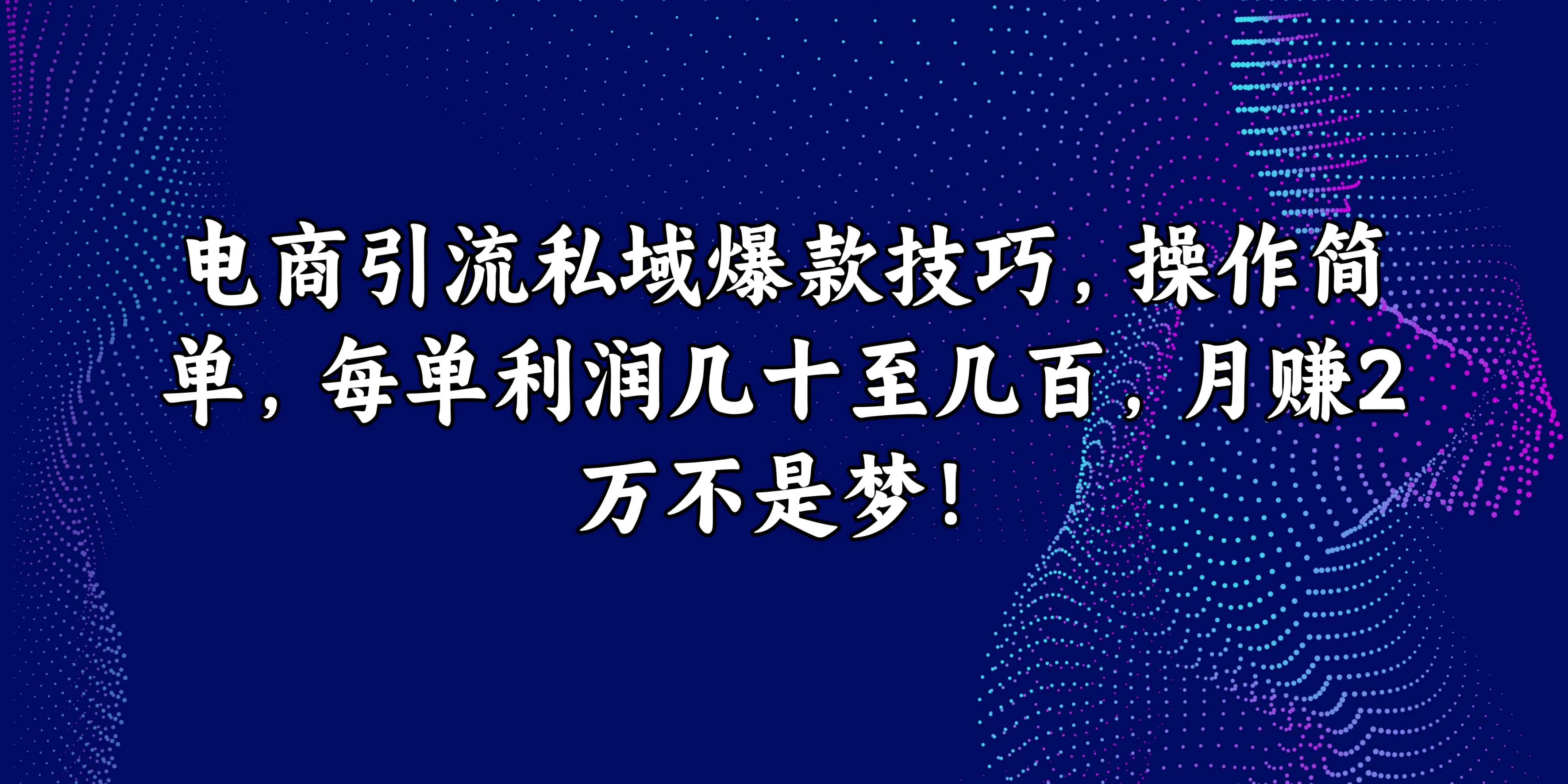 电商引流私域爆款技巧，操作简单，每单利润几十至几百，月赚2万不是梦！ - 入巷拾玖