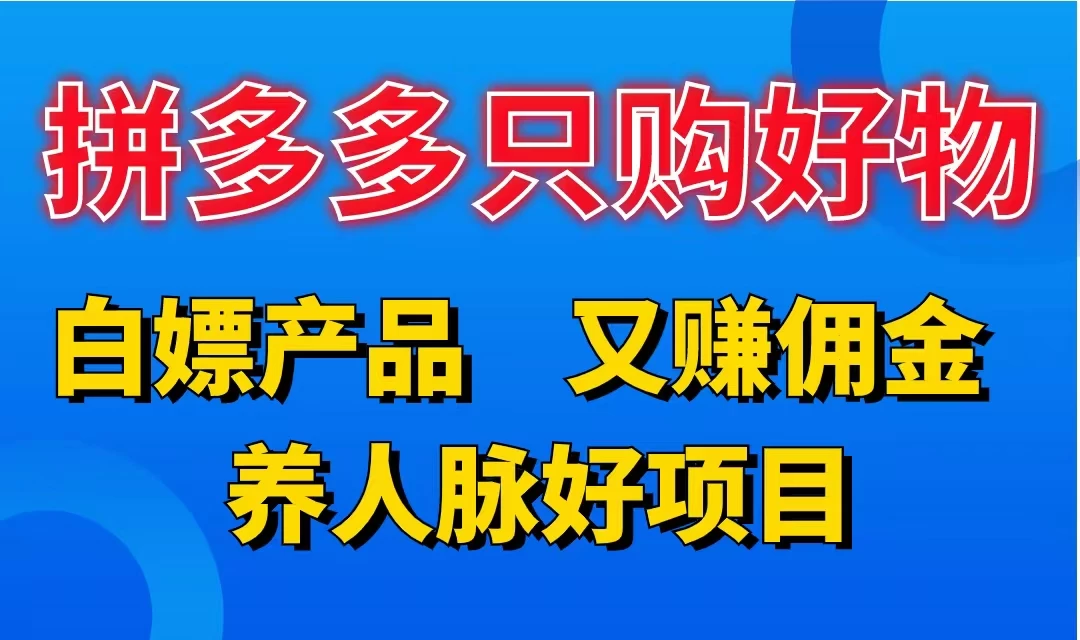 拼多多只购好物，白嫖产品，又赚佣金，养人脉好项目，轻松日入3位数 - 入巷拾玖