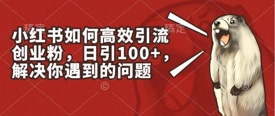 小红书如何高效引流创业粉，日引100+，解决你遇到的问题 - 入巷拾玖
