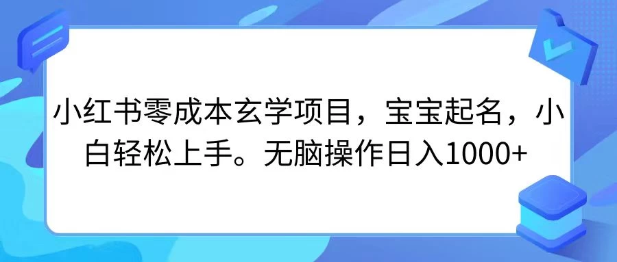 小红书零成本玄学项目，宝宝起名，小白轻松上手，无脑操作日入1000+ - 入巷拾玖