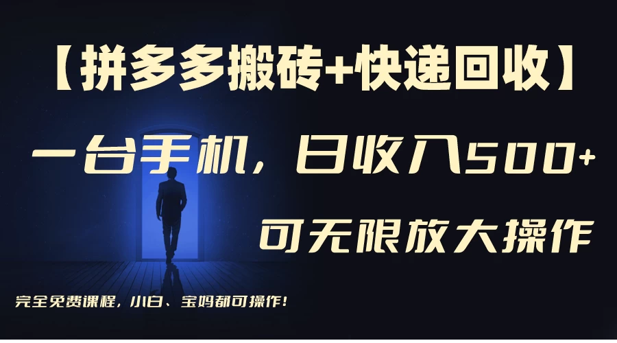 拼多多搬砖+快递回收,日入500+,多号矩阵收益无上限 - 入巷拾玖
