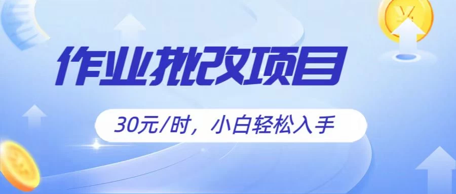 作业批改项目30元/时，小白轻松入手，非常的简单 - 入巷拾玖