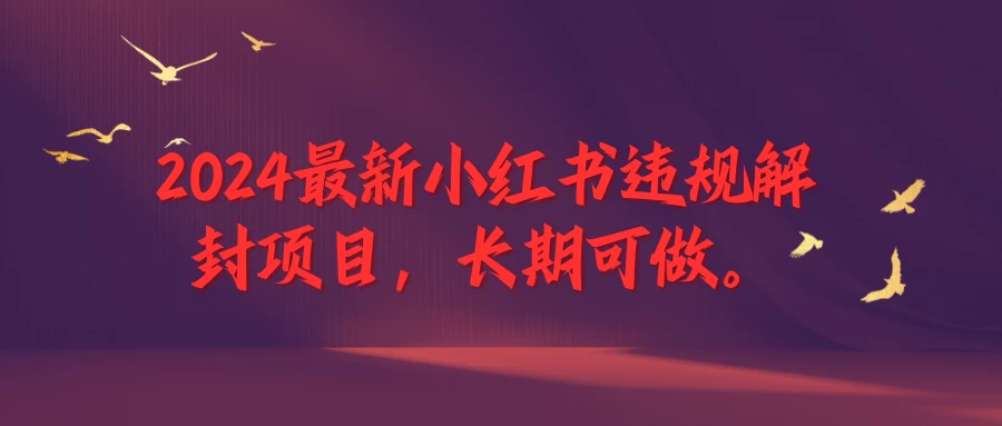 2024最新小红书违规解封项目，一个可以做到退休的项目 - 入巷拾玖