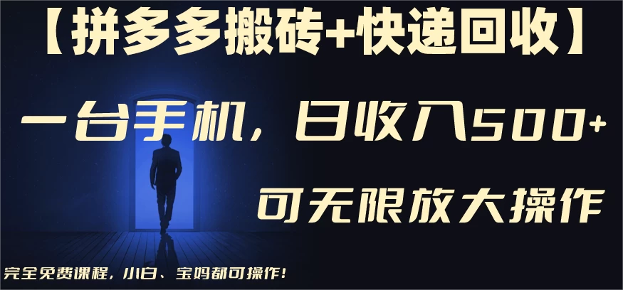 拼多多搬砖＋快递回收，日入600+，可多号矩阵收益无上限 - 入巷拾玖