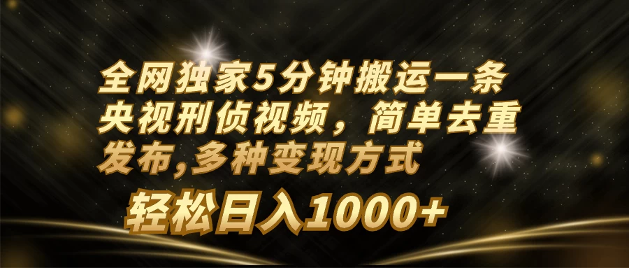 全网独家5分钟搬运一条央视刑侦视频，简单去重发布，多种变现方式，轻松日入1000+ - 入巷拾玖