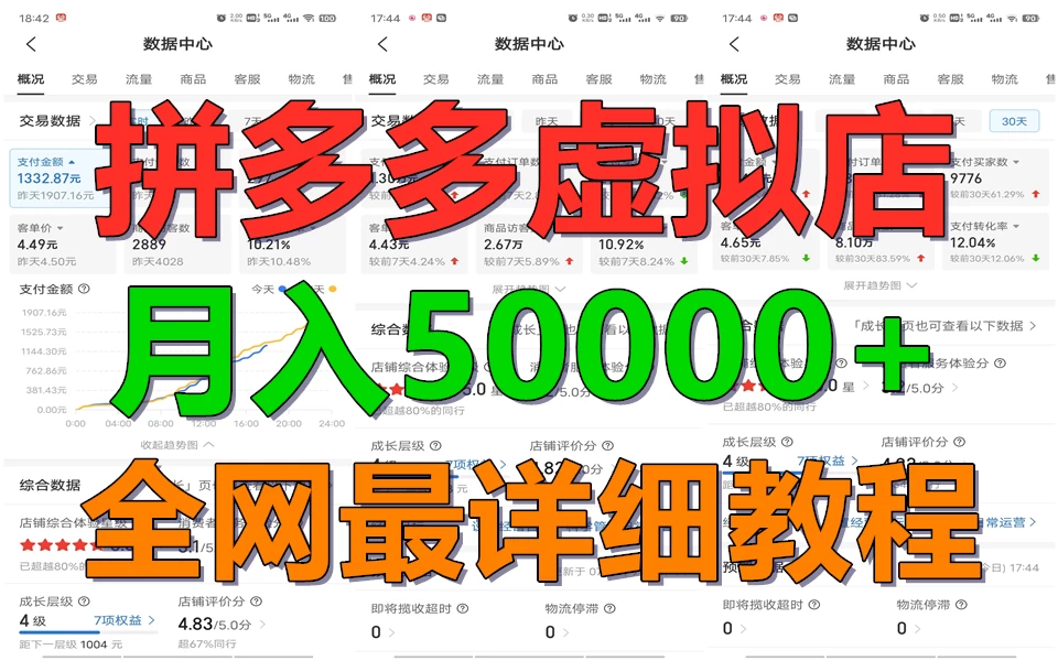 拼多多虚拟电商月入50000+你干你也行，暴利稳定长久，副业首选 - 入巷拾玖
