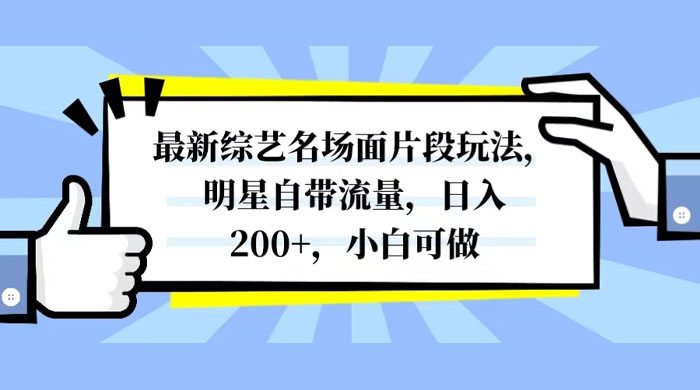 最新综艺名场面片段玩法，明星自带流量，日入200+，小白可做 - 入巷拾玖