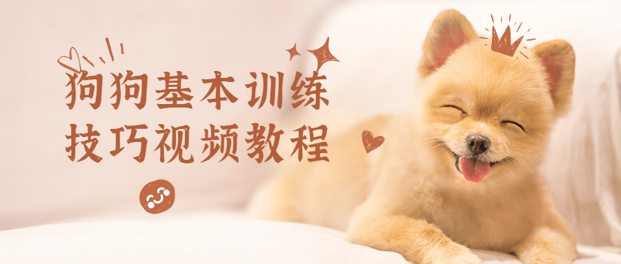 狗狗基本训练技巧视频教程 - 入巷拾玖