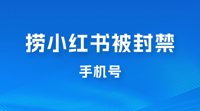 捞小红书被封禁手机号，小红书被封号禁言账号手机换绑 - 入巷拾玖