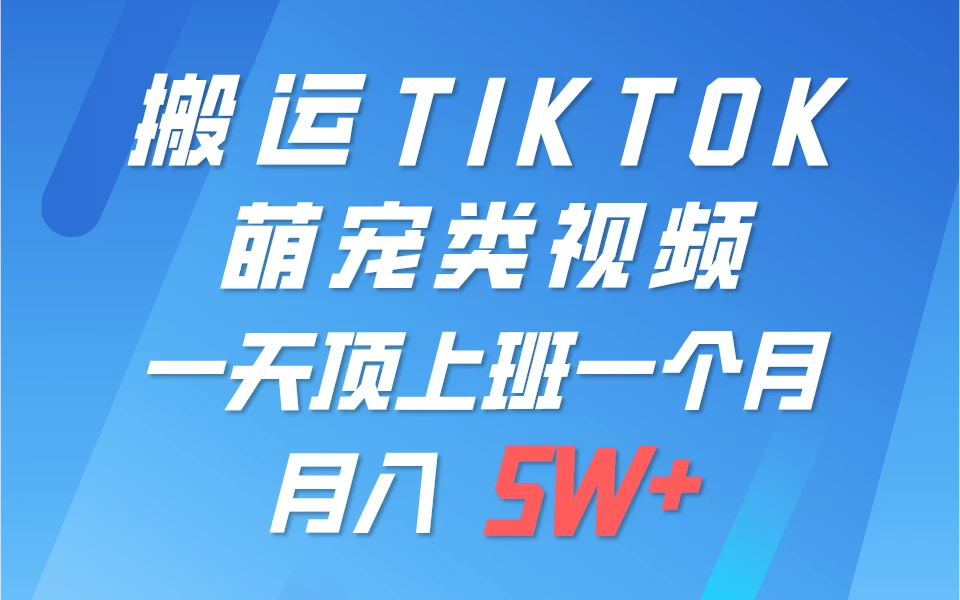 搬运tiktok萌宠视频，一部手机可做，项目长期稳定，月入5W+ - 入巷拾玖