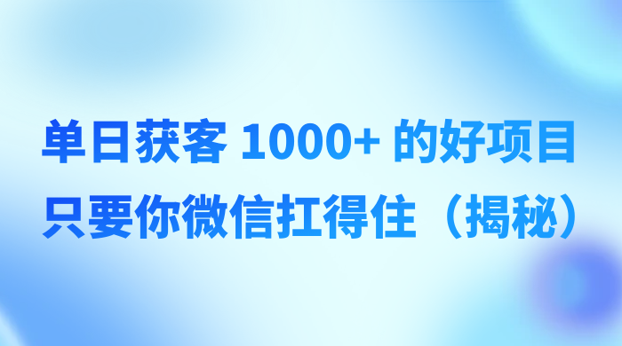 单日获客 1000+ 的好项目，只要你微信扛得住（揭秘） - 入巷拾玖