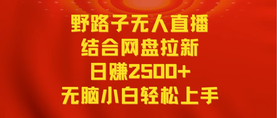 无人直播野路子结合网盘拉新，日赚2500+多平台变现，小白无脑轻松上手操作 - 入巷拾玖