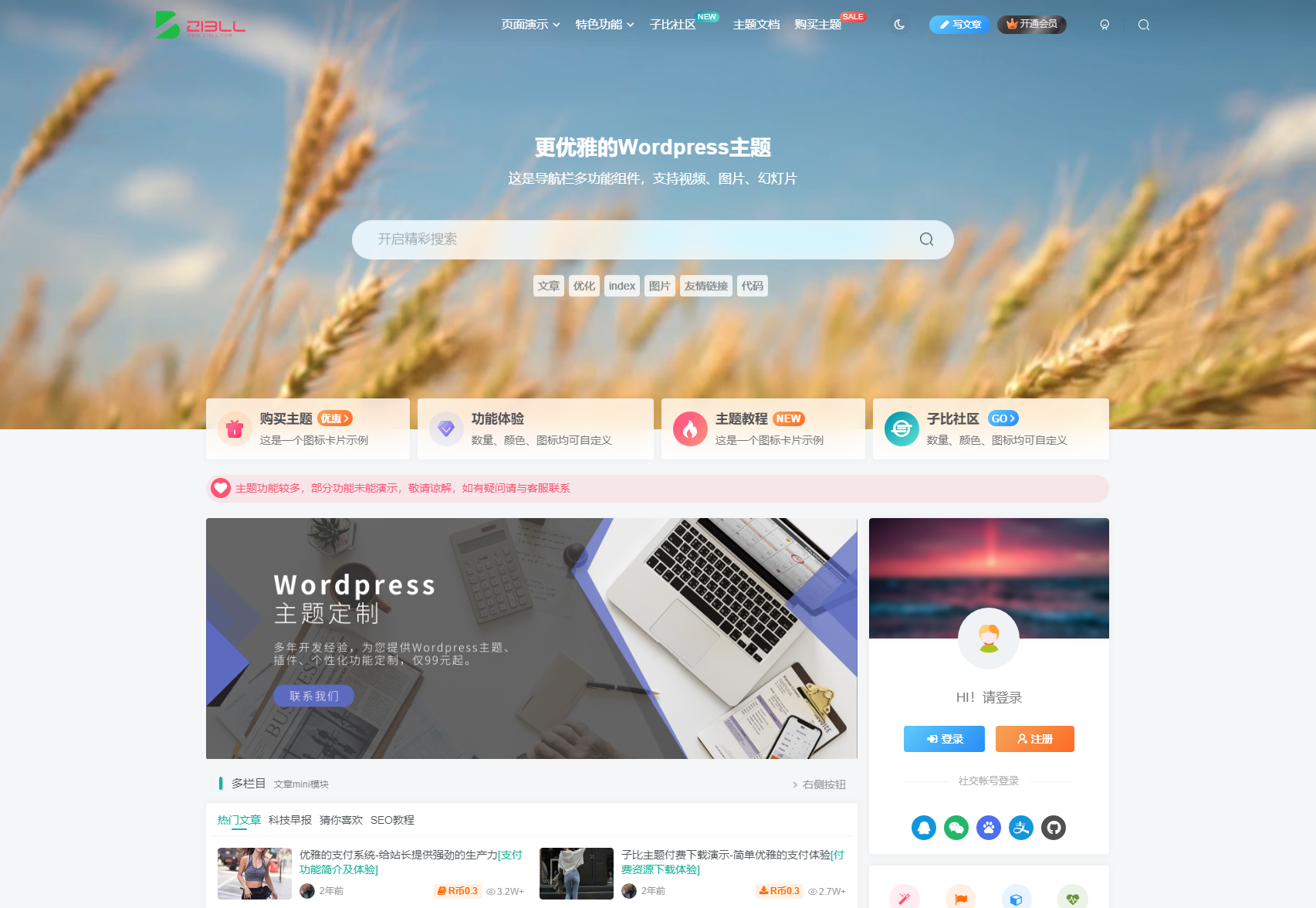 WordPress 主题「Zibll」子比主题 v7.1 开心版 - 入巷拾玖