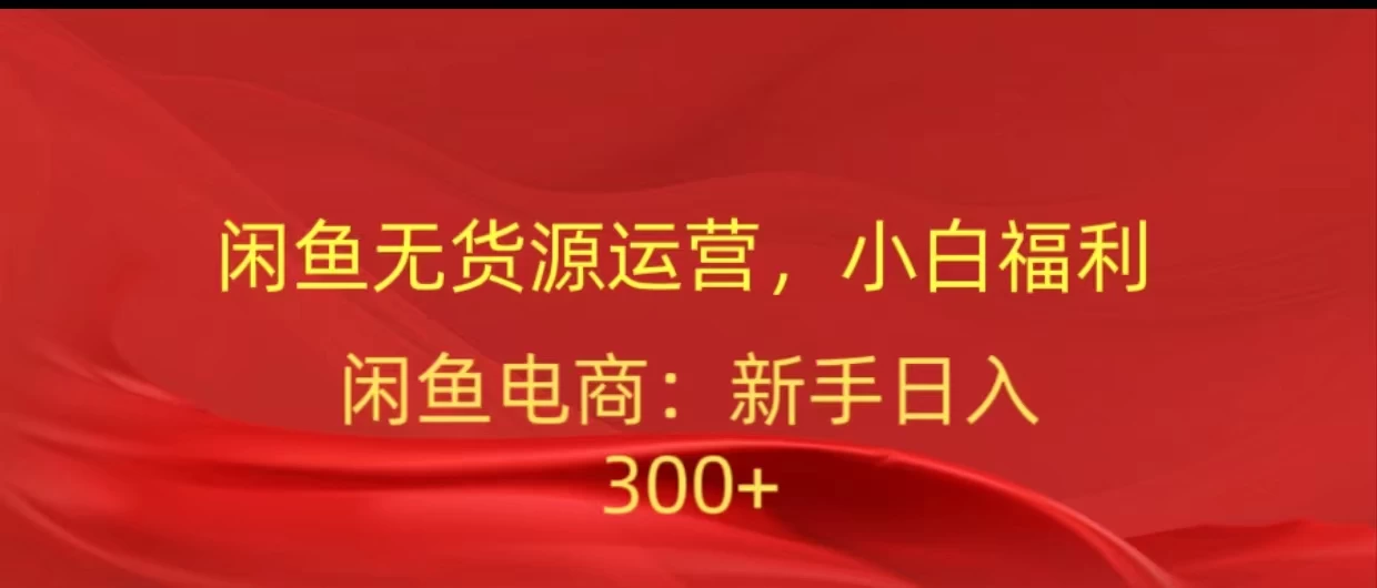 闲鱼无货源运营，小白福利，日入300+，轻松月入过万！ - 入巷拾玖