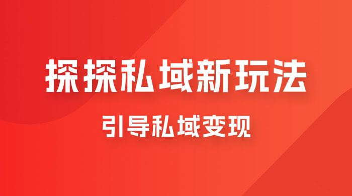 探探私域新玩法，引导私域变现，一部手机日入 500+ 很轻松 - 入巷拾玖