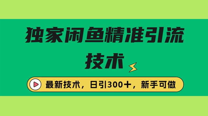 独家闲鱼引流技术，日引 300+ 实战玩法 - 入巷拾玖