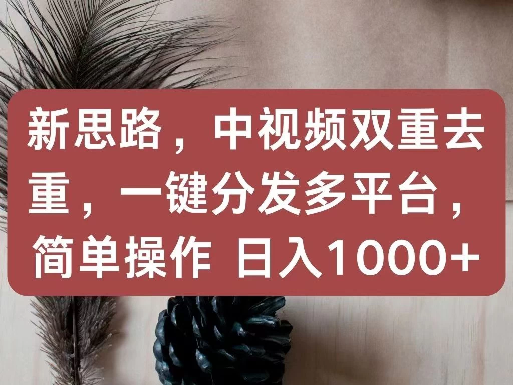 新思路，中视频双重去重，一键分发多平台，简单操作，日入1000+！快来试试吧！ - 入巷拾玖