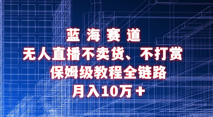 无人直播不卖货、不打赏保姆级教程全链路 月入10万＋ - 入巷拾玖