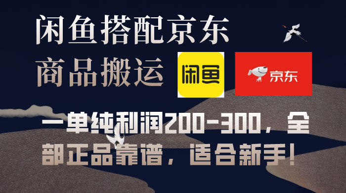 闲鱼搭配京东备份库搬运，一单纯利润 200-300，全部正品靠谱，适合新手！ - 入巷拾玖