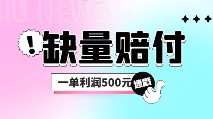 最新多平台缺量赔付玩法：简单操作一单利润 5 张 - 入巷拾玖