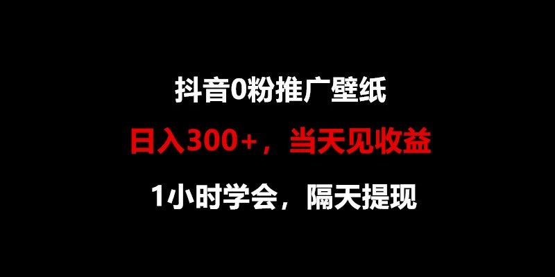 日入300+，抖音0粉推广壁纸，1小时学会，当天见收益，隔天提现 - 入巷拾玖
