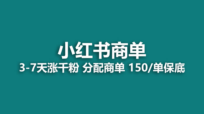 2023最强蓝海项目，小红书商单项目，没有之一 - 入巷拾玖