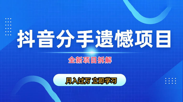 自媒体抖音分手遗憾项目私域项目拆解 - 入巷拾玖
