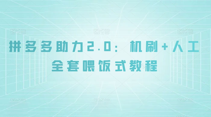 拼夕夕助力 2.0 新玩法：机刷+人工全套交付，喂饭式教程 - 入巷拾玖