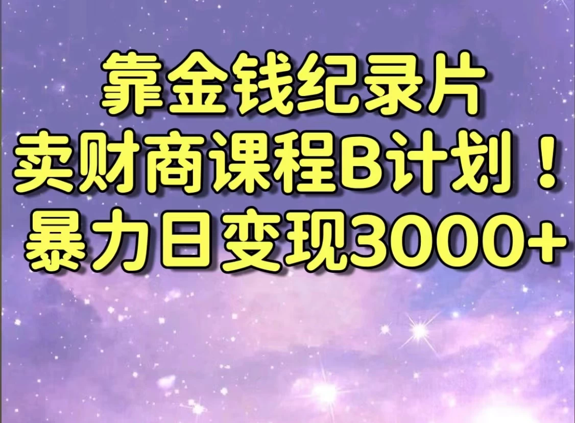 靠金钱纪录片卖财商课程，暴力日变现3000+，喂饭级干货教学！！ - 入巷拾玖