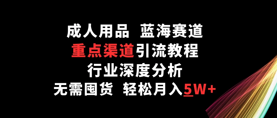 成人用品，蓝海赛道，重点渠道引流教程，行业深度分析，无需囤货，轻松月入5W+ - 入巷拾玖