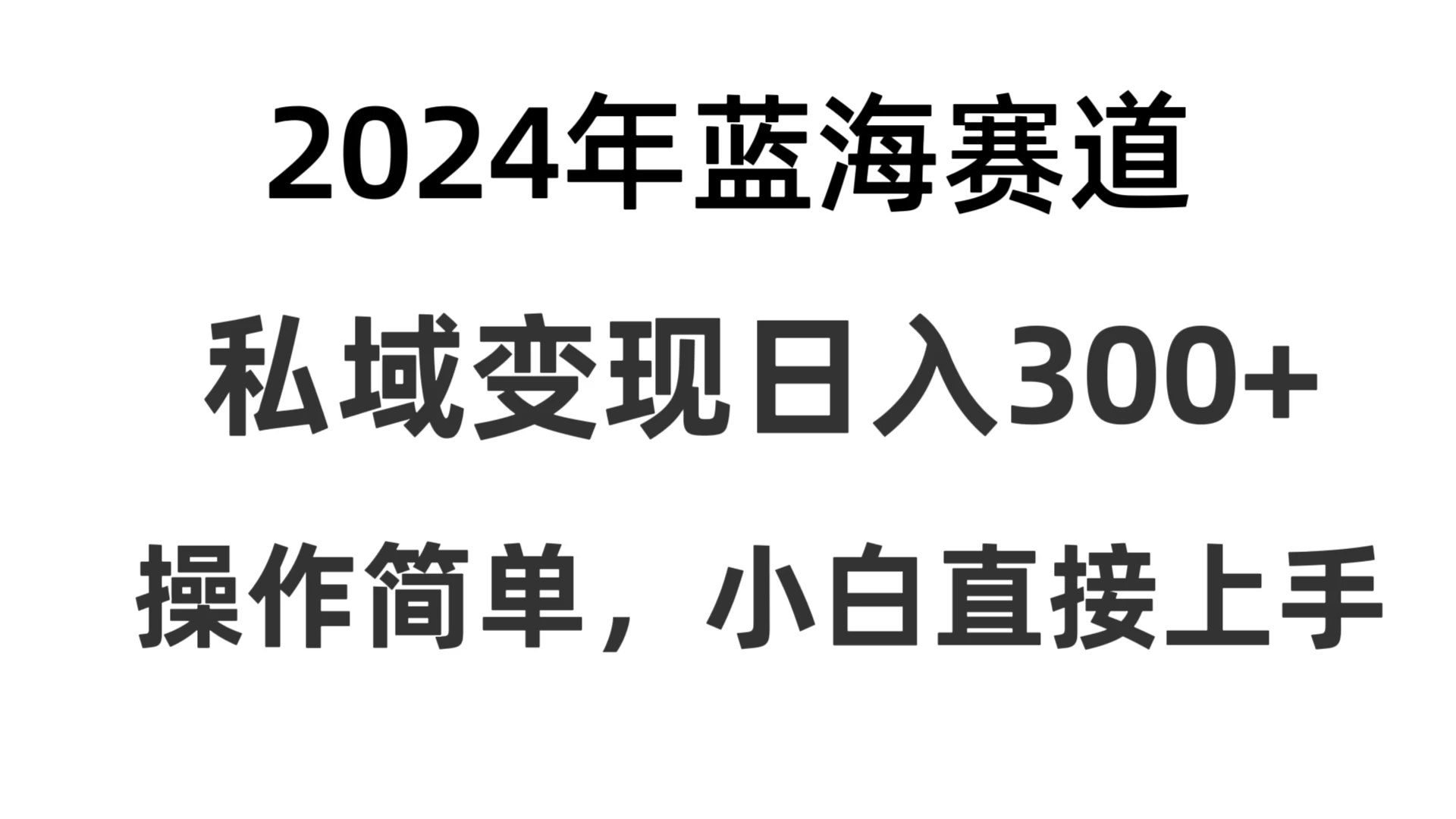 2024抖音蓝海赛道，私域变现日入300+，操作简单，每年只需一小时，纯小白可直接上手 - 入巷拾玖
